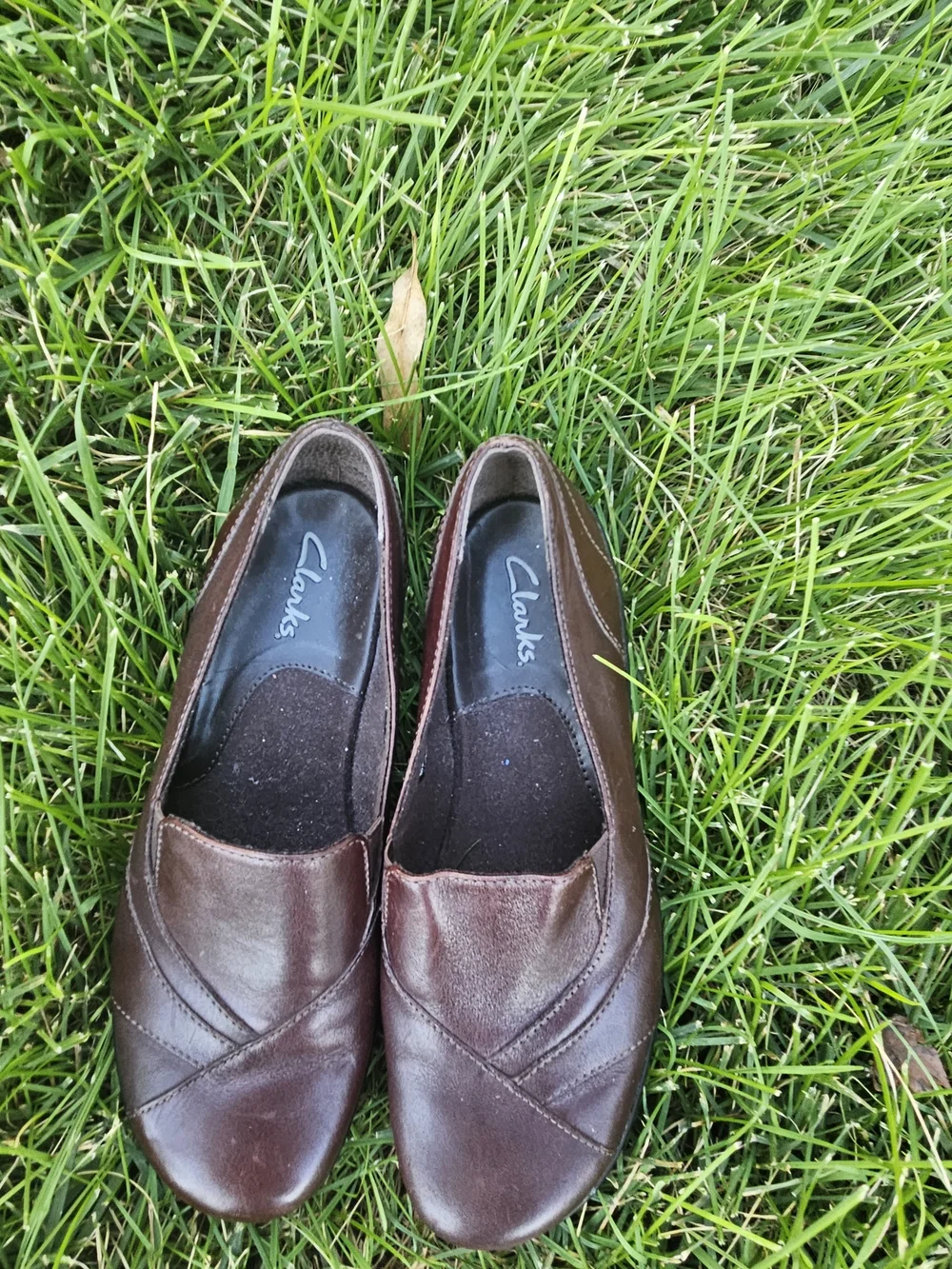 Clarks vintage blackberry